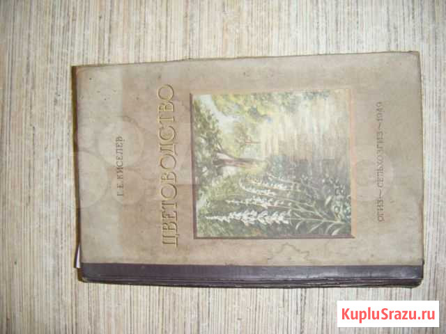 Цветоводство 1949 Новоалтайск - изображение 1