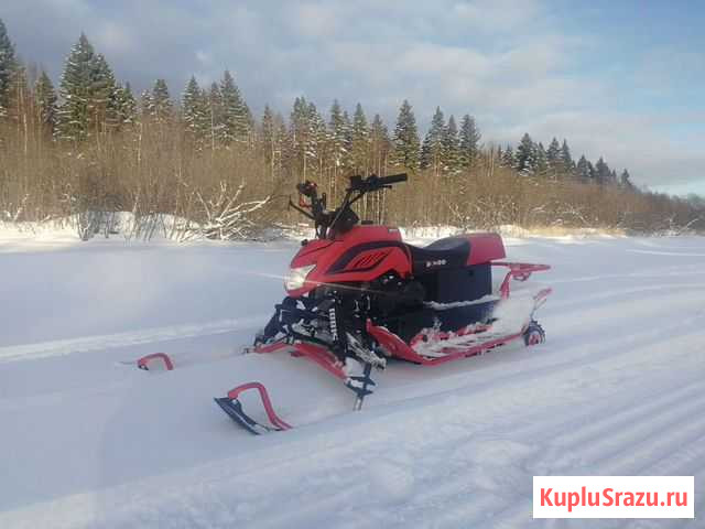 Снегоход Irbis Dingo T150 2021 Архангельск - изображение 1