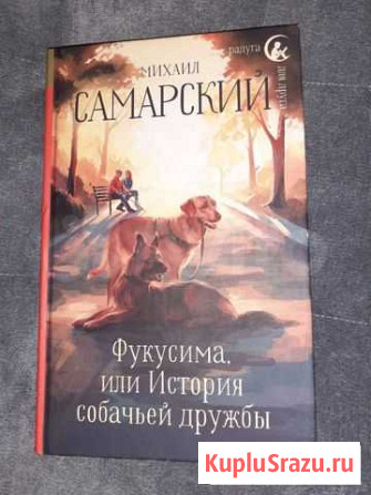 Книга Нижнекамск - изображение 1