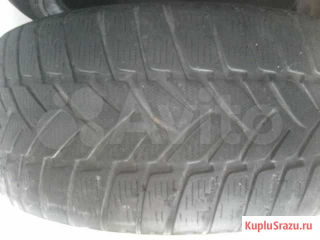 Продам шины Новосибирск - изображение 1