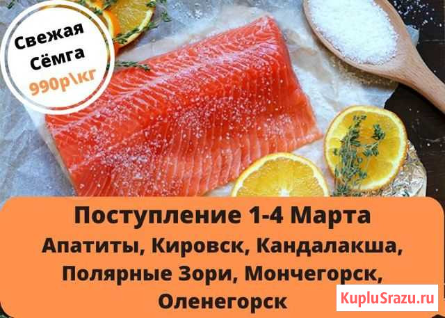 Сёмга Апатиты - изображение 1