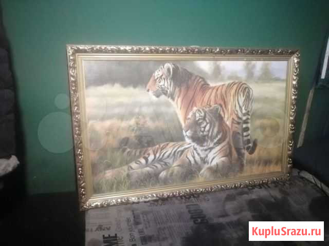 Тигр Электросталь - изображение 1