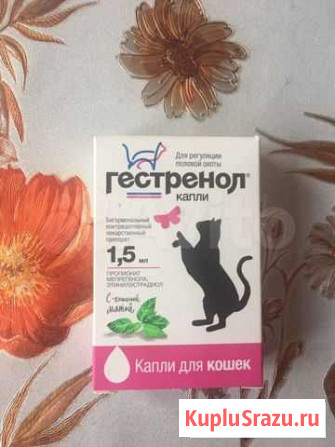 Капли для кошки Анапа - изображение 1