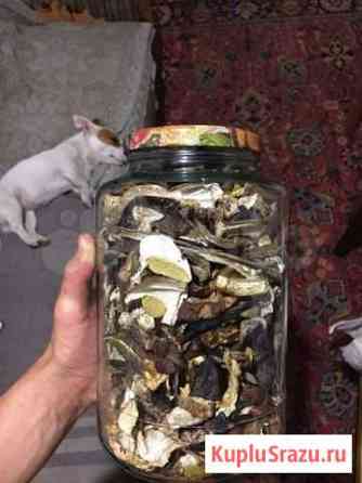 Грибы сушёные благородные Москва