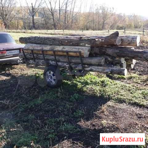 Прицеп легковой Раевский - изображение 1