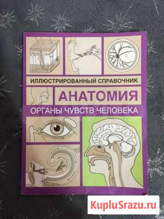 Анатомия органов чувств Саранск - изображение 1