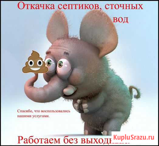 Откачка септиков Курган - изображение 1