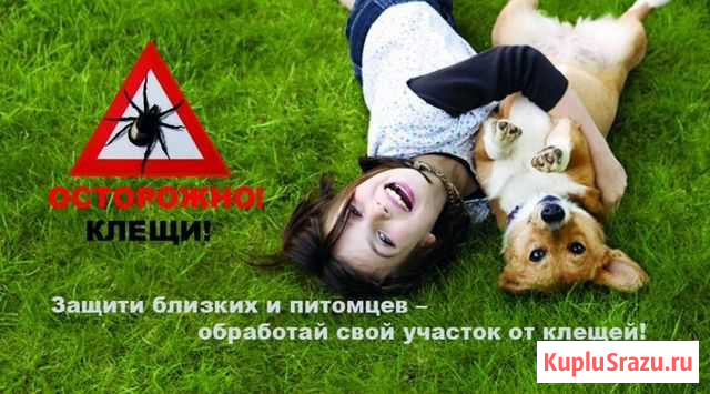 Обработка от клещей, грызунов, насекомых Липецк - изображение 1