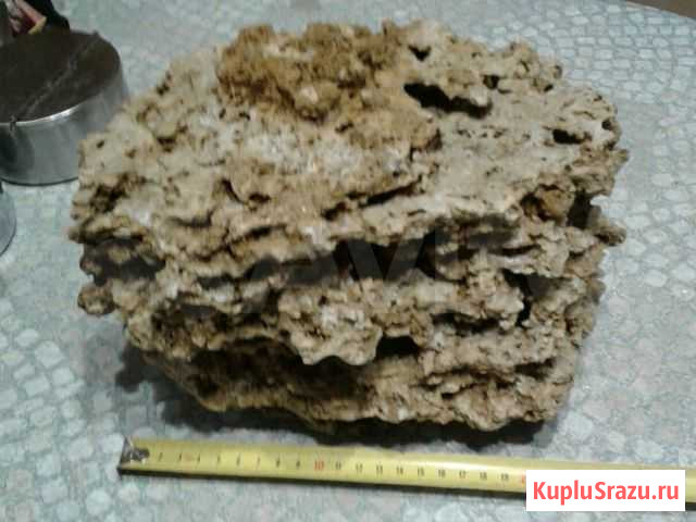 Камень для аквариума Нижний Новгород - изображение 1