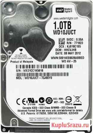 Жесткий диск для ноутбука 1 Tб WD Blue WD10jpvx Полярные Зори