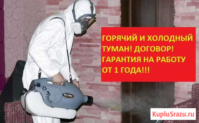 Уничтожение клопов, травить тараканов. Травля Екатеринбург - изображение 1