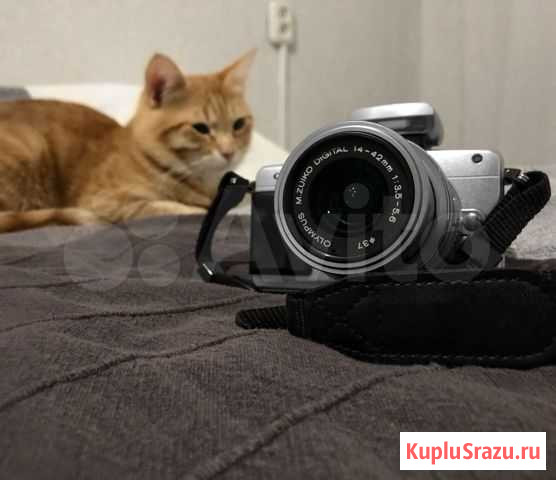 Фотоаппарат olympus pen mini e-pm2 Казань - изображение 1