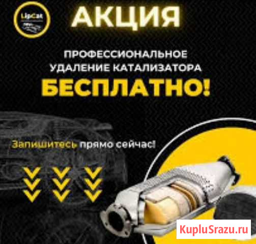 Бесплатное Удаление Катализаторов Выселки - изображение 1