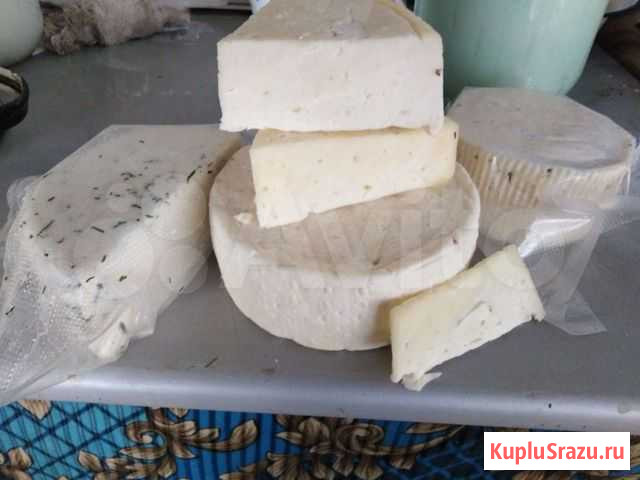 Молоко Каменск-Уральский - изображение 1
