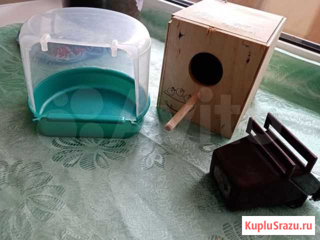 Для мелких пород птиц Березовский - изображение 1