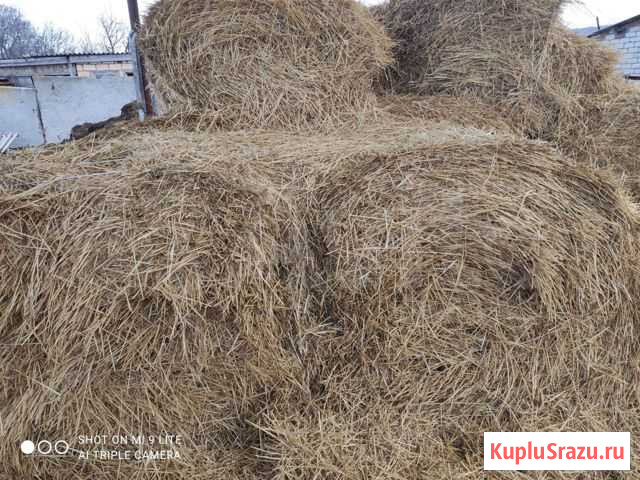 Солома Икон-Халк - изображение 1