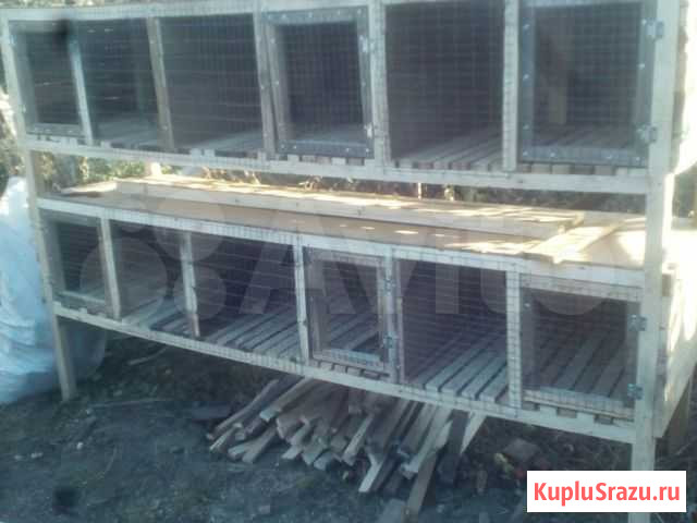 Клетки Прохладный - изображение 1