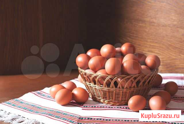 Яйца деревенские фермерские, мёд, сало, икра кабач Химки - изображение 1