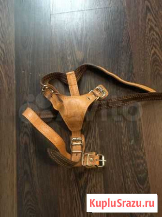 Кожаная шлейка для собаки 10-15 кг Мытищи - изображение 1