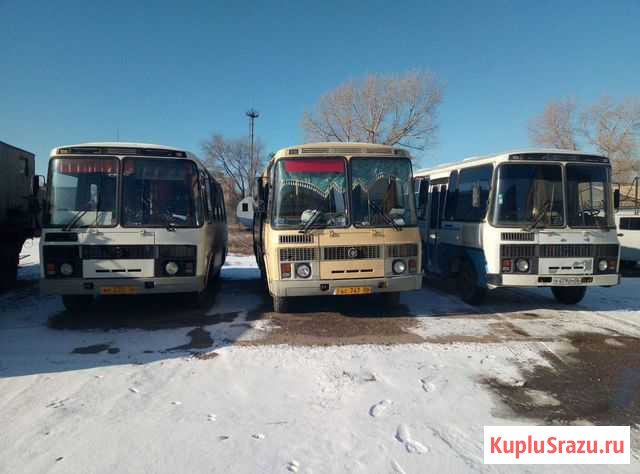 Автобусы Оренбург - изображение 1