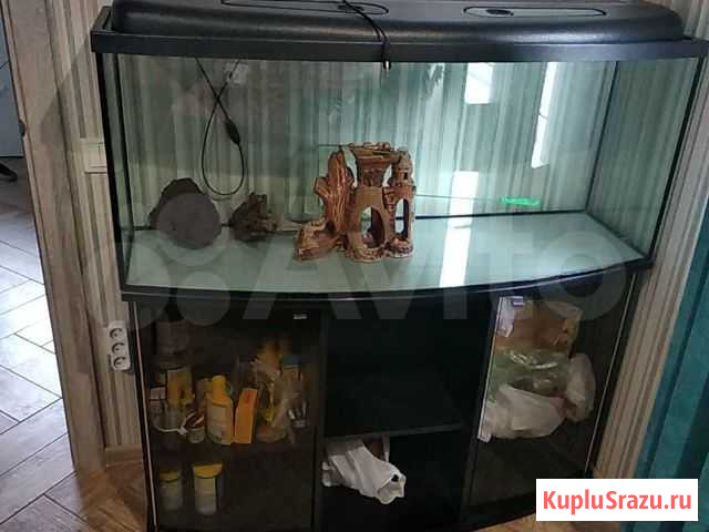 Аквариум Ставрополь - изображение 1