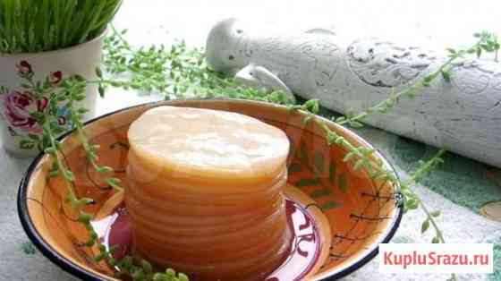 Чайный гриб/Комбуча Москва