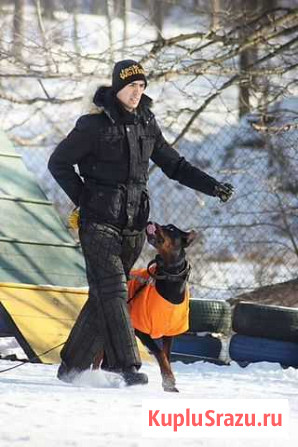 Дрессировка Вашей собаки на дресс.площадке, выезд Владивосток - изображение 1