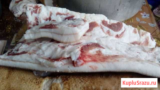 Домашнее сало Староминская - изображение 1