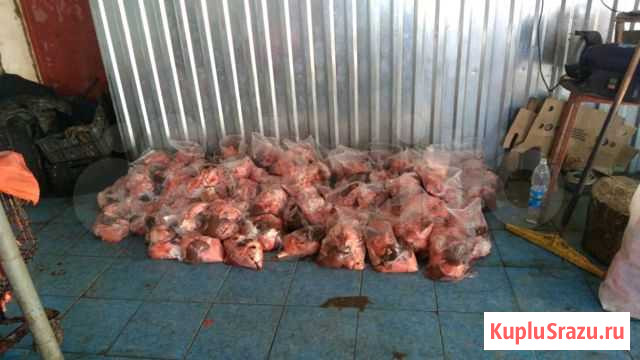 Бараньи субпродукты Волжский - изображение 1