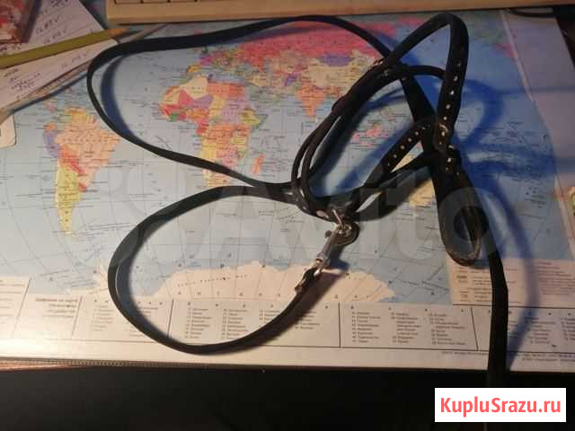 Поводок для кошек Калининград - изображение 1