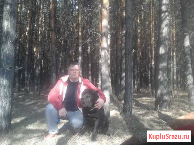 Ремонт окон Новокузнецк - изображение 1