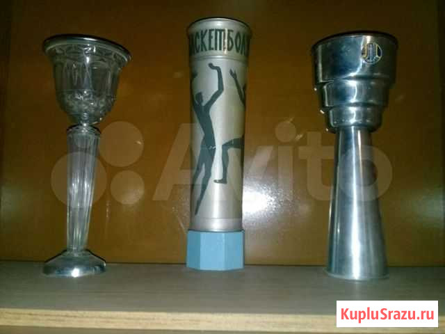 Кубки СССР Динская - изображение 1