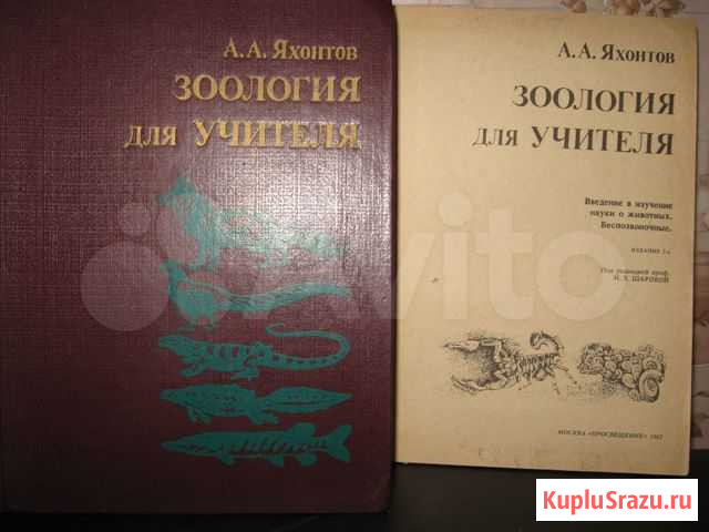 Учебные книги по зоологии Яхонтова Астрахань - изображение 1