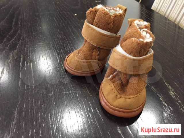 Обувь для собаки Нижний Одес - изображение 1