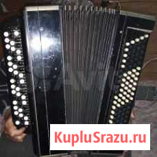 Баян Ахтырский - изображение 1