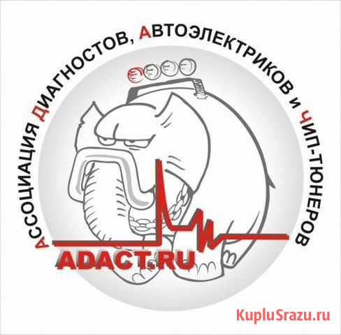Чип-тюнинг от adact Абакан - изображение 1