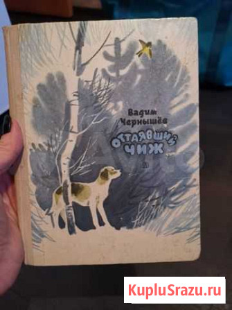 Книга В.Чернышев. Оттаявший Чиж. Рассказы. 1977 г Новое Девяткино - изображение 1