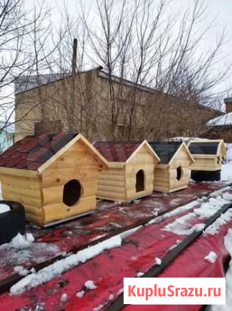 Будка для собаки Ясногорск - изображение 1