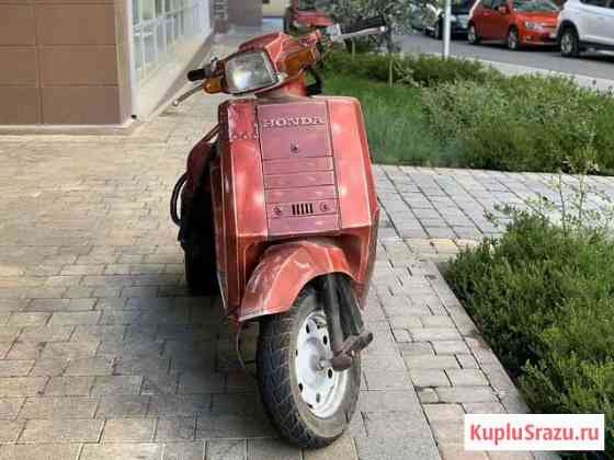 Honda Gyro 50 - Красная мамба Сочи