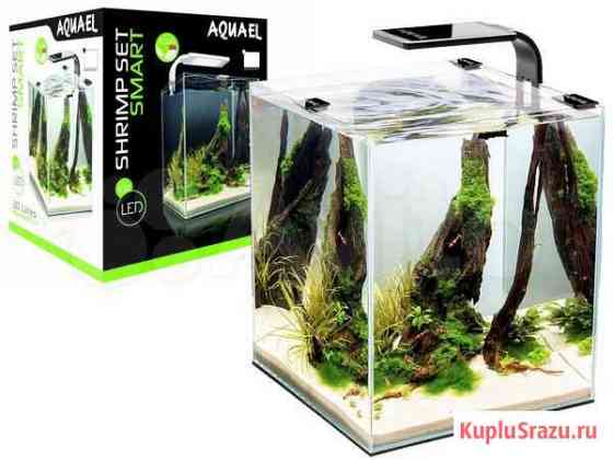 Aquael shrimp SET smart plant ll 20, Креветкариум Казань