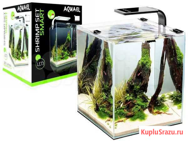 Aquael shrimp SET smart plant ll 20, Креветкариум Казань - изображение 1