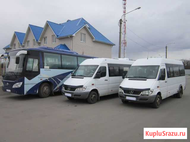 Автобусы, микроавтобусы от 17 до 30 мест Калач - изображение 1