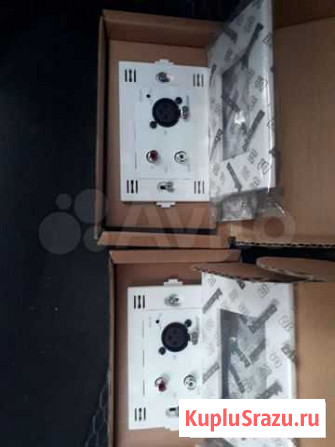 Модуль Bose ControlSpace AMS-8 Local Input Module Белгород - изображение 1