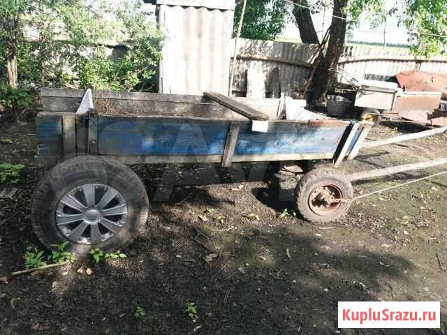Телега конная на резиновом ходу и сани Фатеж - изображение 1