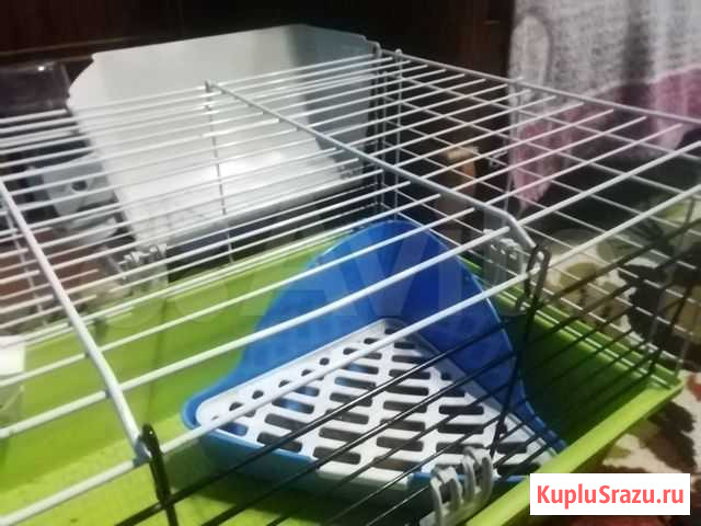 Клетка для кролика Новокузнецк - изображение 1