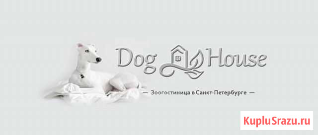 Зоогостиница Кипень - изображение 1