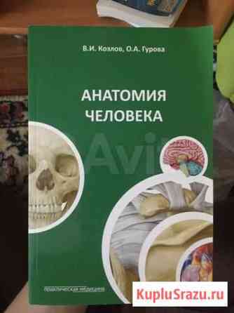Анатомия человека В.И.Козлов,О.В.Гурова Рязань