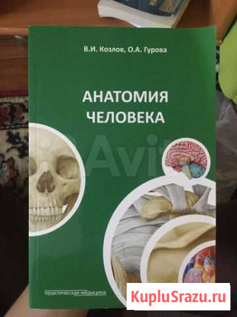 Анатомия человека В.И.Козлов,О.В.Гурова Рязань - изображение 1