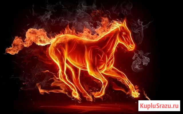 Грузчики разнорабочий Краснодар - изображение 1