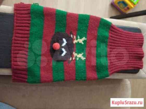 Кафточка для собачки Новокузнецк